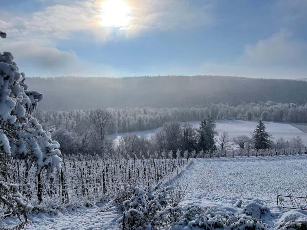 Winterlandschaft bei Alten